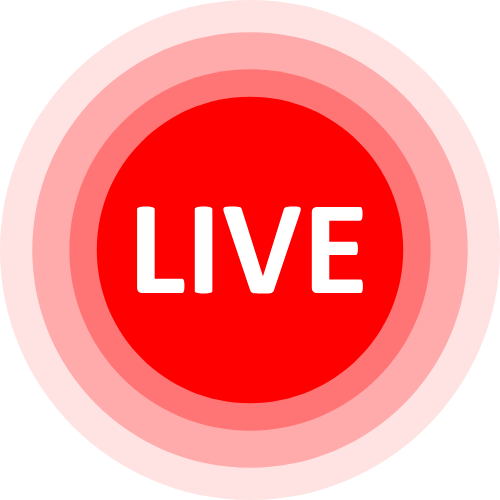 X Hamster Live Cam